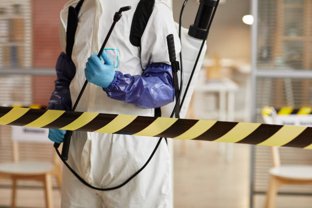 Professional Blood Cleanup technician working in Alton, TX