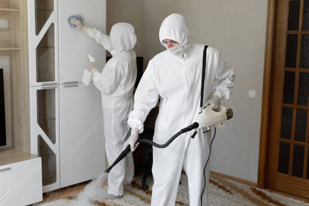 24/7 Emergency Blood Cleanup experts in Alton, TX