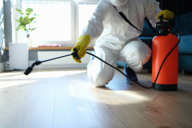 Reliable Blood Cleanup contractor in Alton, TX by Trauma Clean Pros